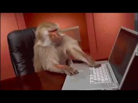 Video del partido