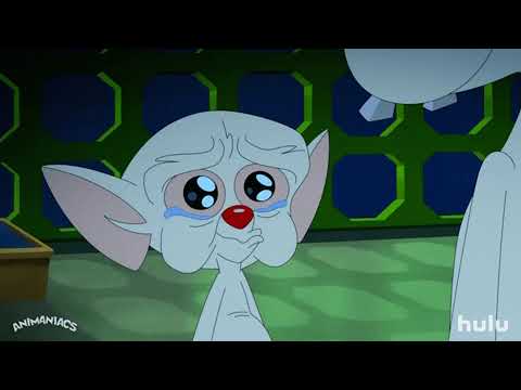Video del partido